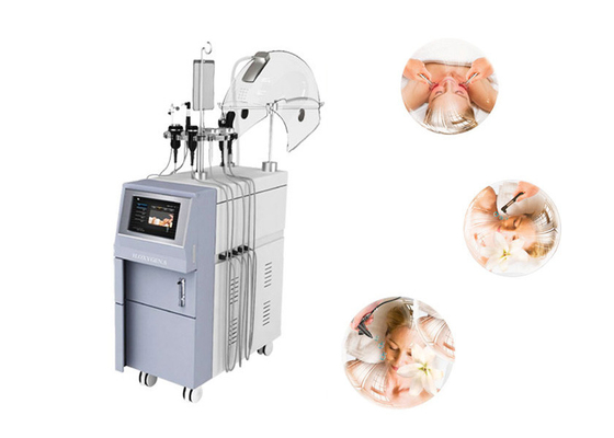 Machine faciale de l'oxygène de rf, machine multifonctionnelle de beauté de l'oxygène