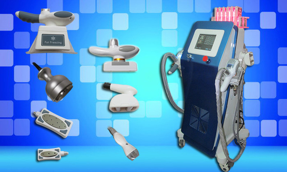 Cryo gelant le poids d'équipement de laser Lipo perdent la machine à la maison de beauté