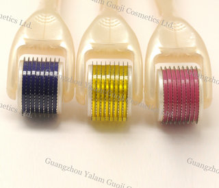 2,5 Mm/3,0 mm taille Micro aiguille rouleau avec plastique de titane plus sûr pour enlever rides
