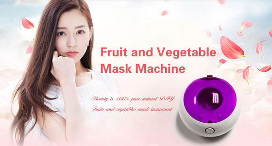 Mini machine de masque/légumes faciaux diy à la maison et fabricant facial de masque de fruit