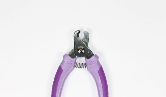Choyez le coupe-ongles pour la petite couleur de pourpre de ciseaux d'outil de toilettage de chien