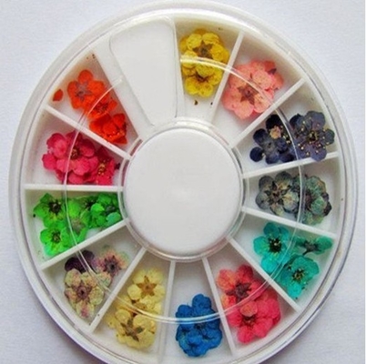Les fleurs sèches sèchent la conception acrylique de décorations d'art de clou